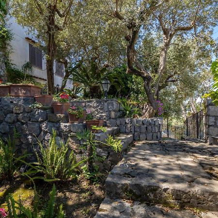 Villa Ulivi Apt à Sorrente Extérieur photo