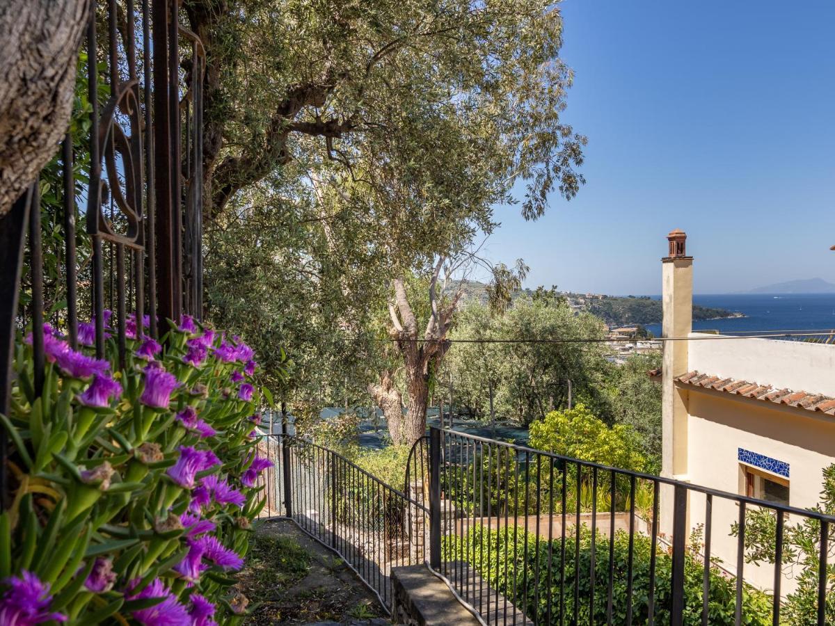 Villa Ulivi Apt à Sorrente Extérieur photo