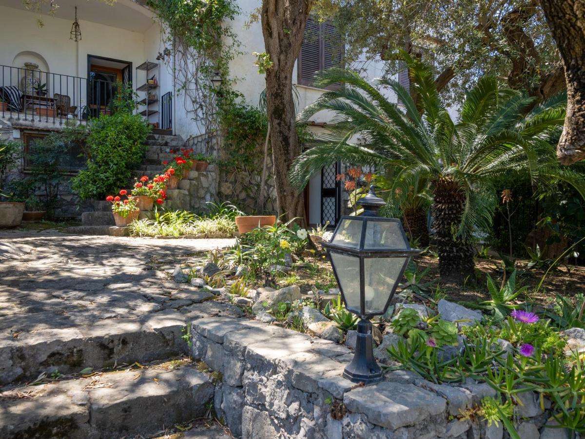 Villa Ulivi Apt à Sorrente Extérieur photo