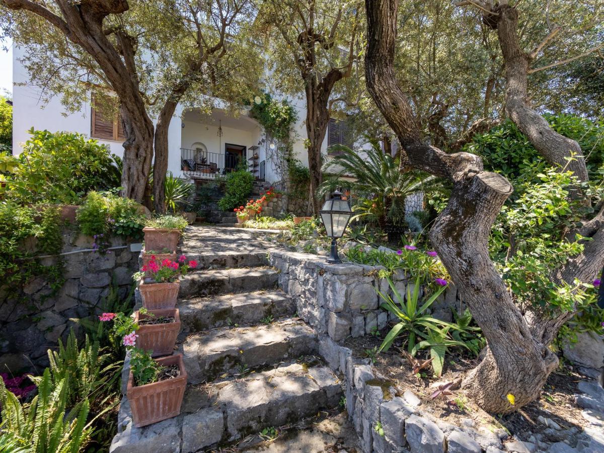 Villa Ulivi Apt à Sorrente Extérieur photo