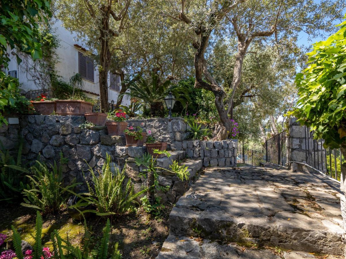 Villa Ulivi Apt à Sorrente Extérieur photo